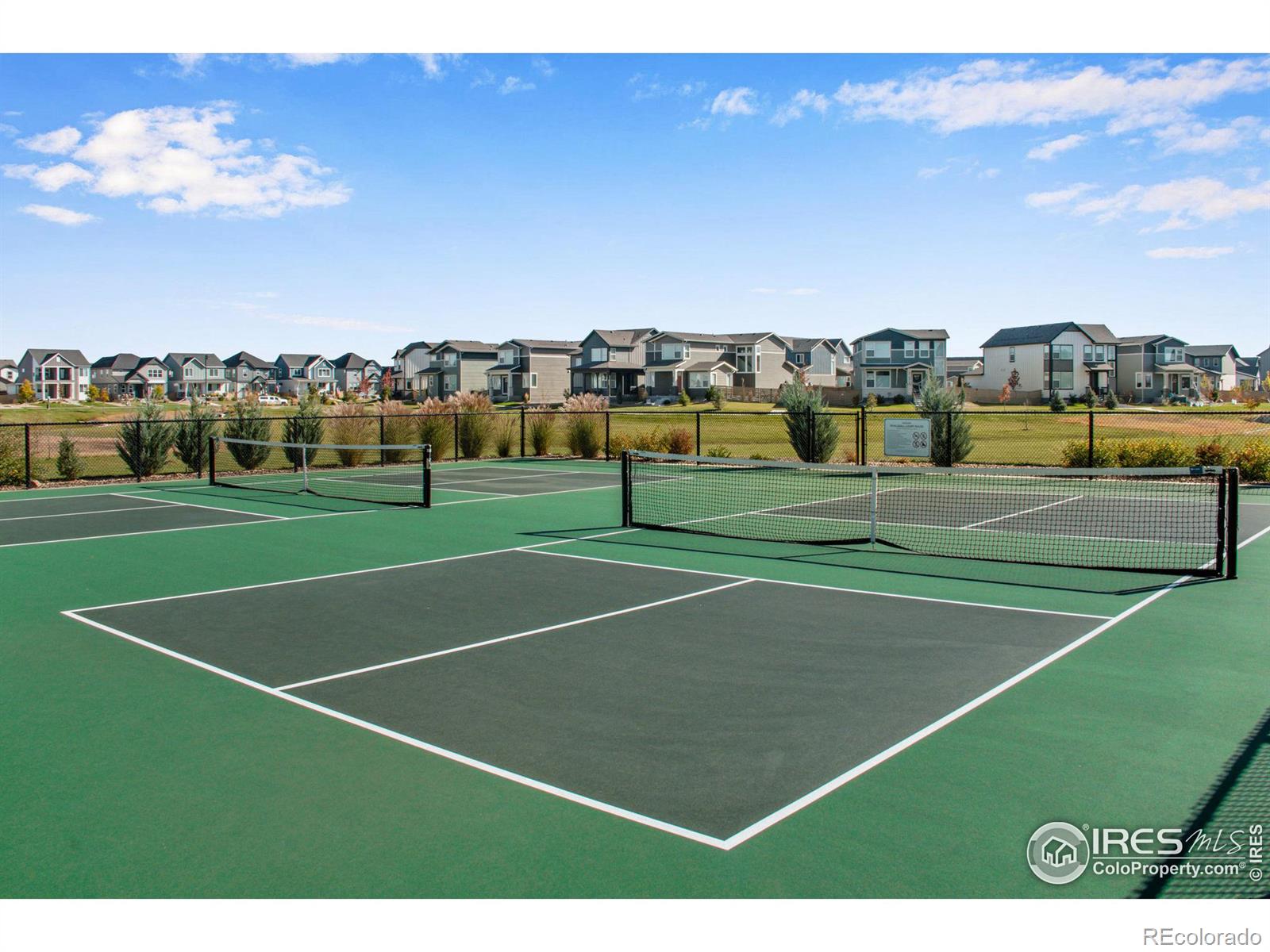 MLS Image #27 for 5063  john muir drive,timnath, Colorado