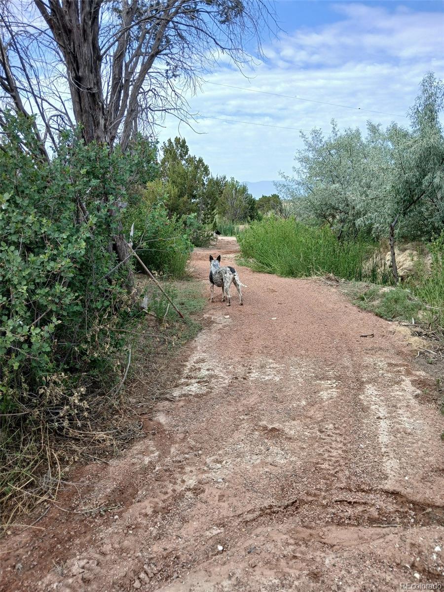 MLS Image #7 for 1635  15th street,penrose, Colorado