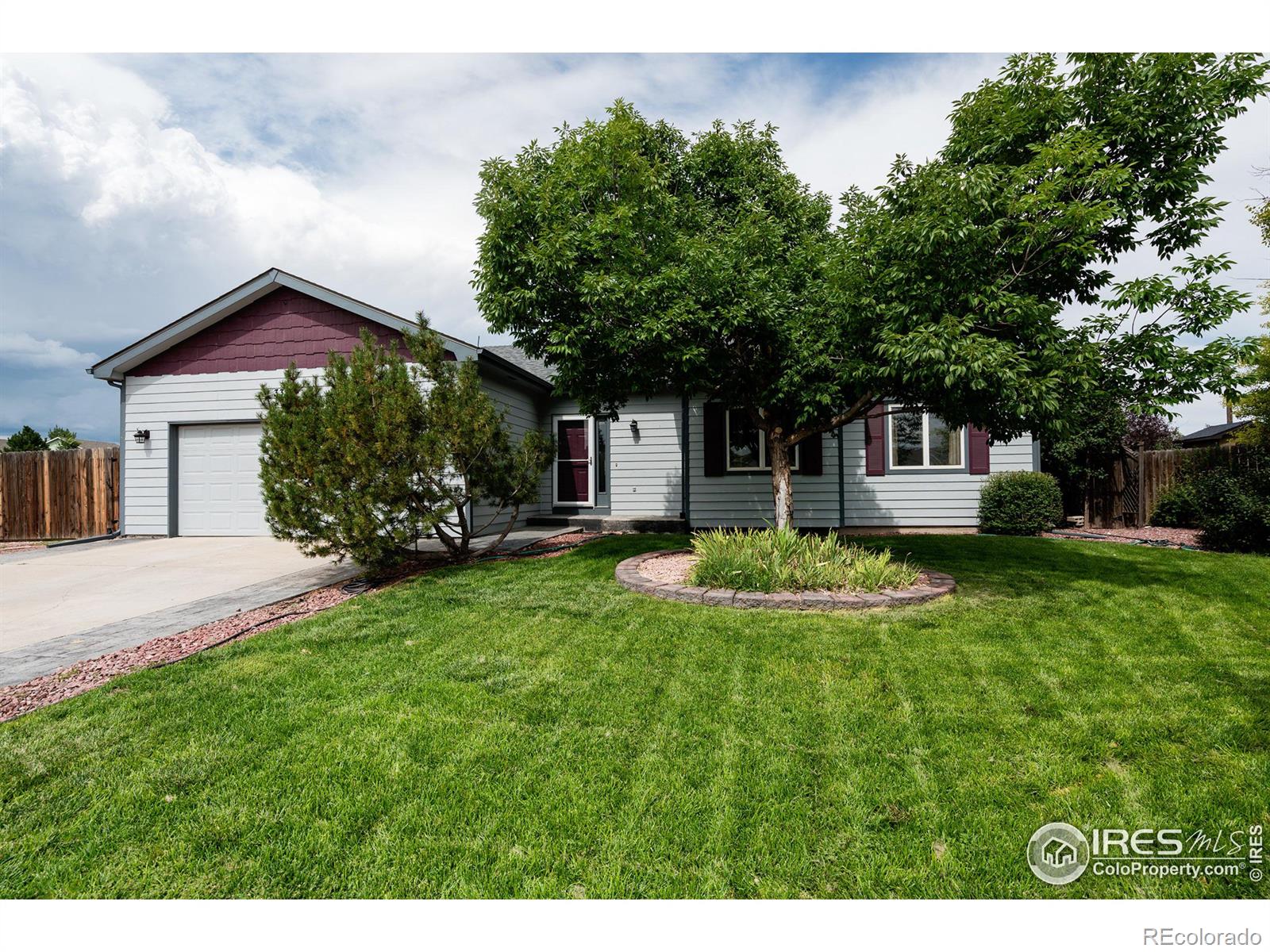 MLS Image #39 for 3367  mammoth court,wellington, Colorado