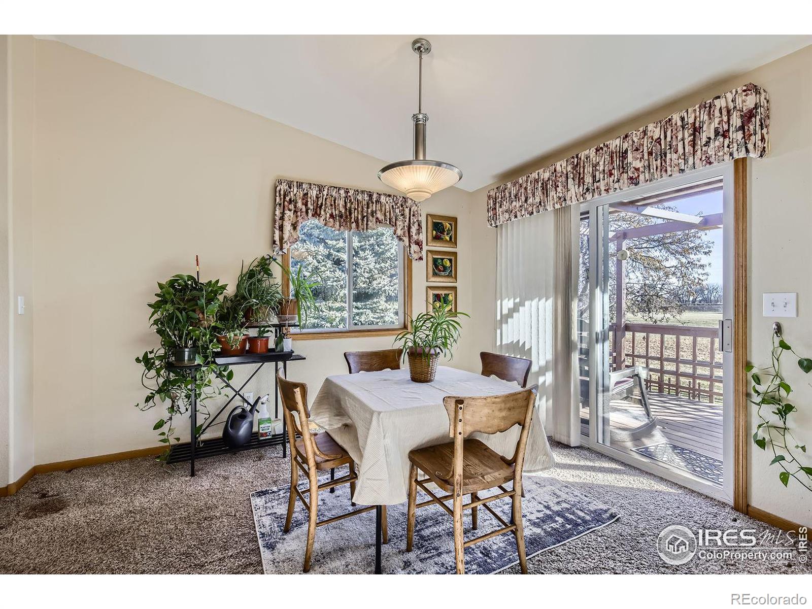 MLS Image #10 for 1871  blue river drive,loveland, Colorado