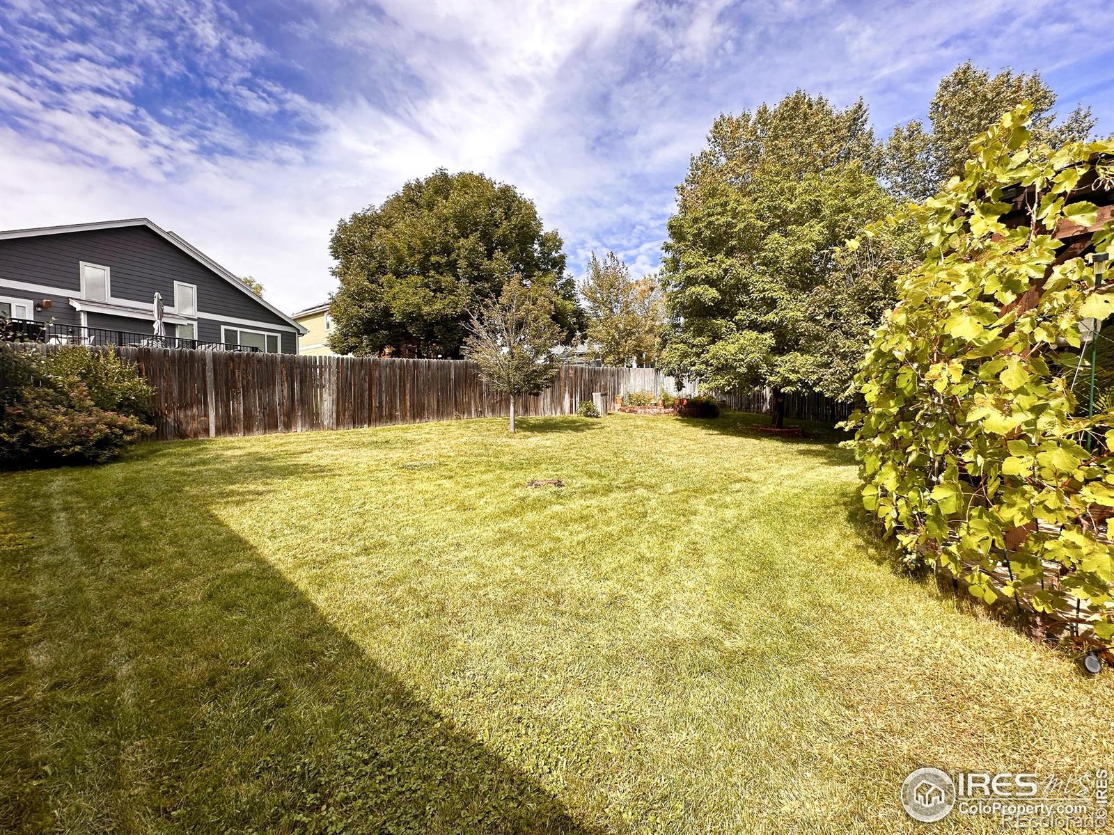 MLS Image #35 for 6449  edgeware street,fort collins, Colorado