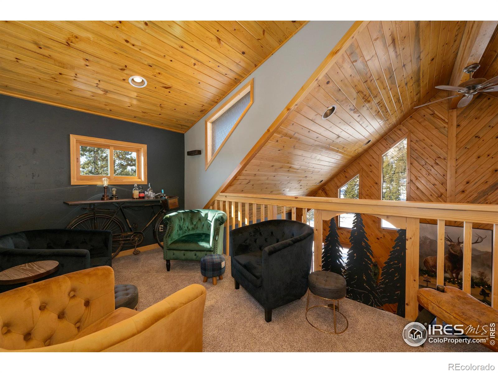 MLS Image #18 for 187  county road 469 ,grand lake, Colorado