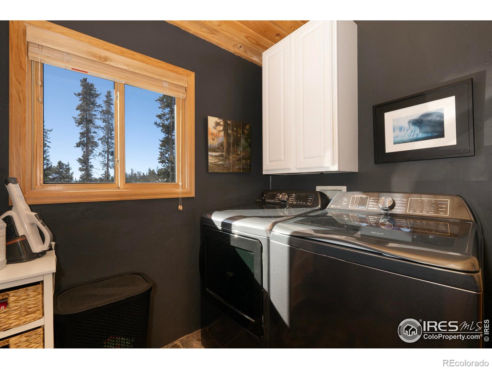 MLS Image #19 for 187  county road 469 ,grand lake, Colorado