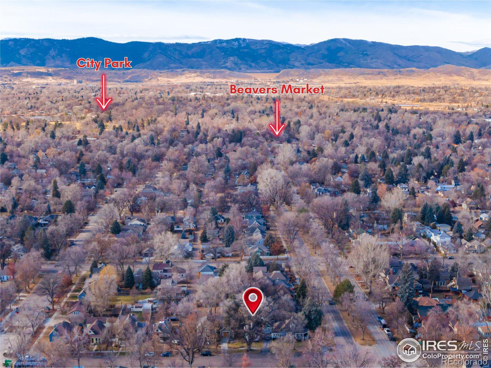 MLS Image #4 for 105 s whitcomb street,fort collins, Colorado