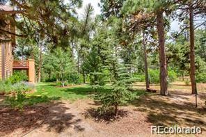 MLS Image #6 for 7423  cameron drive,larkspur, Colorado