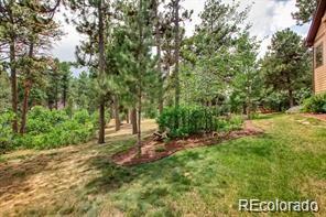 MLS Image #7 for 7423  cameron drive,larkspur, Colorado