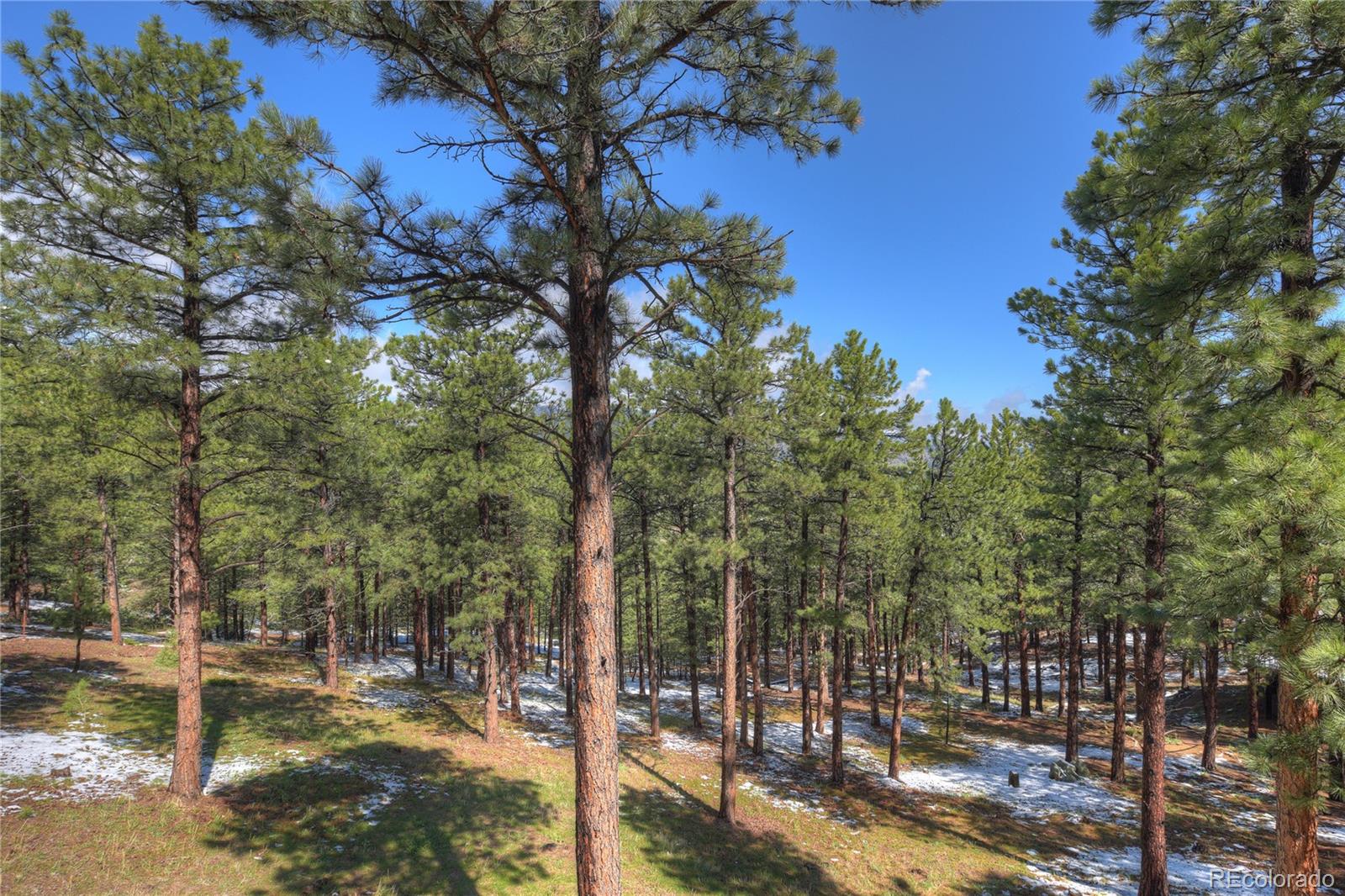 MLS Image #13 for 160  bristlecone way,boulder, Colorado