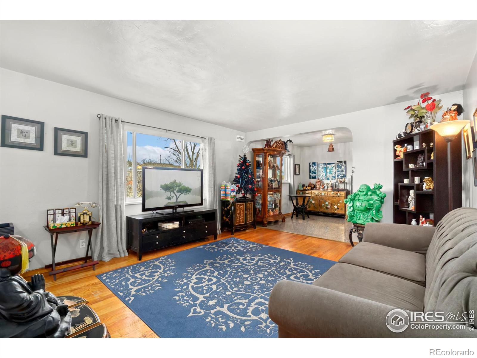 MLS Image #1 for 9290  gaylord street,thornton, Colorado