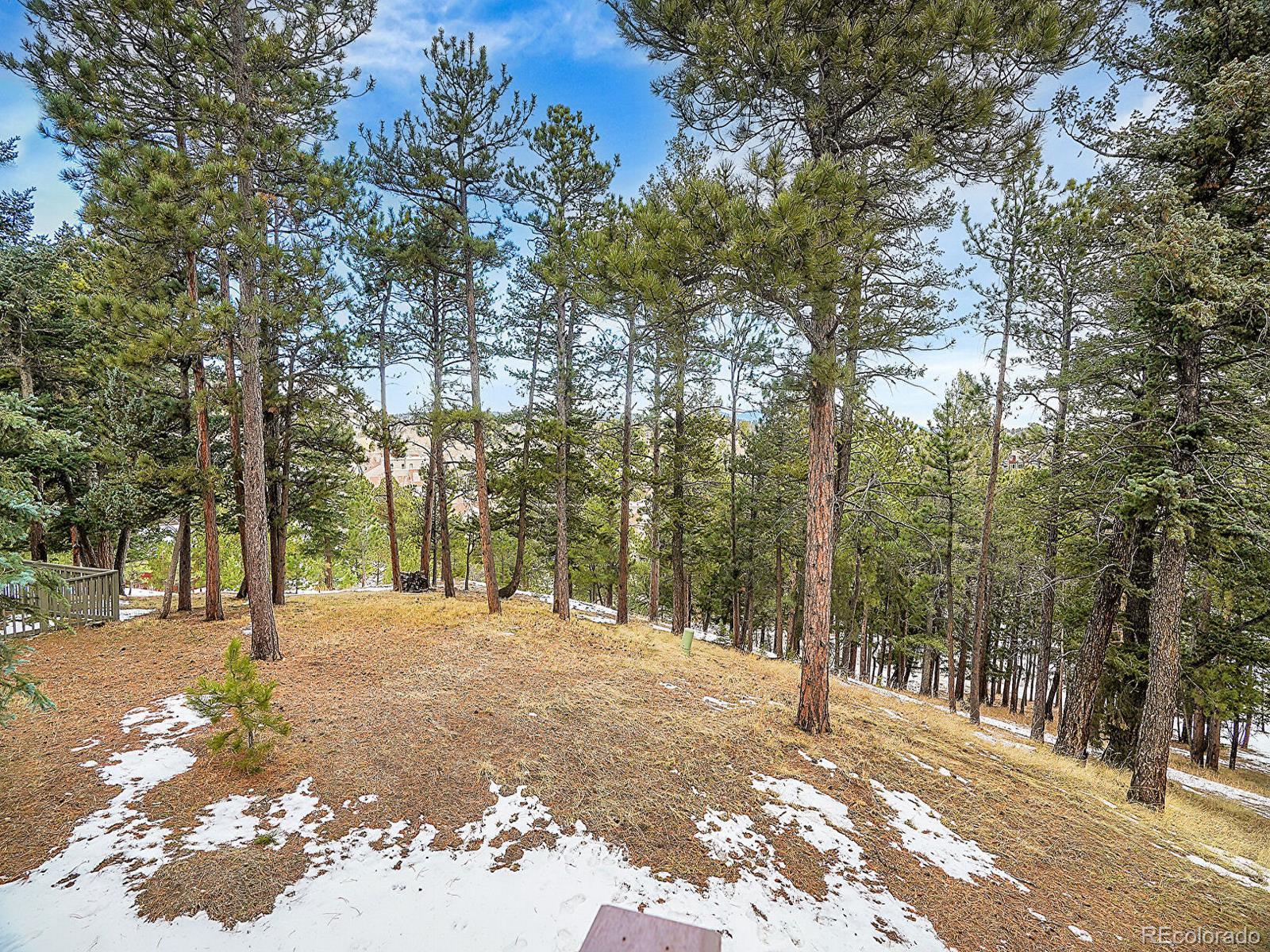 MLS Image #10 for 23485  bluestem drive,golden, Colorado