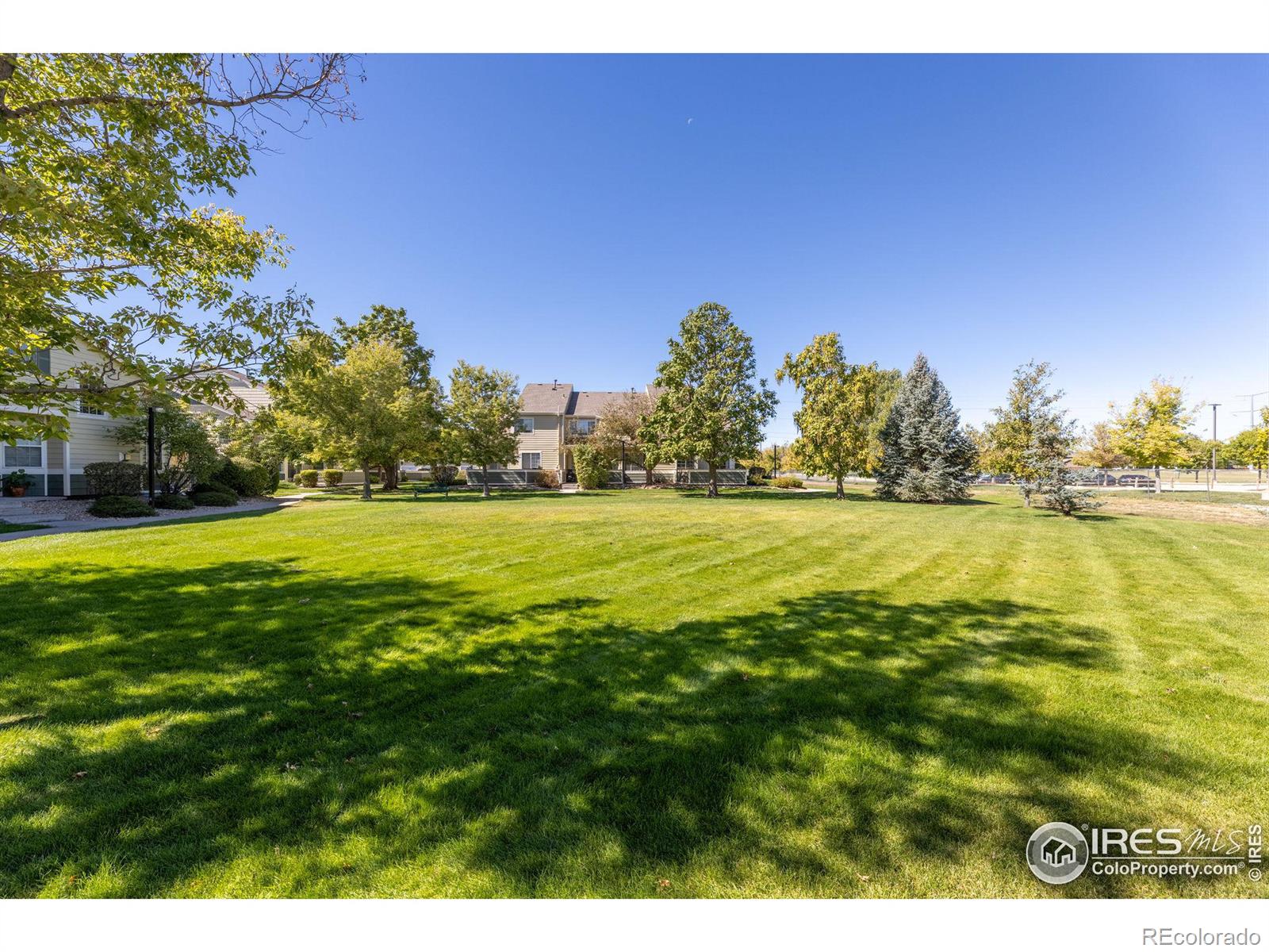 MLS Image #16 for 930  button rock drive,longmont, Colorado