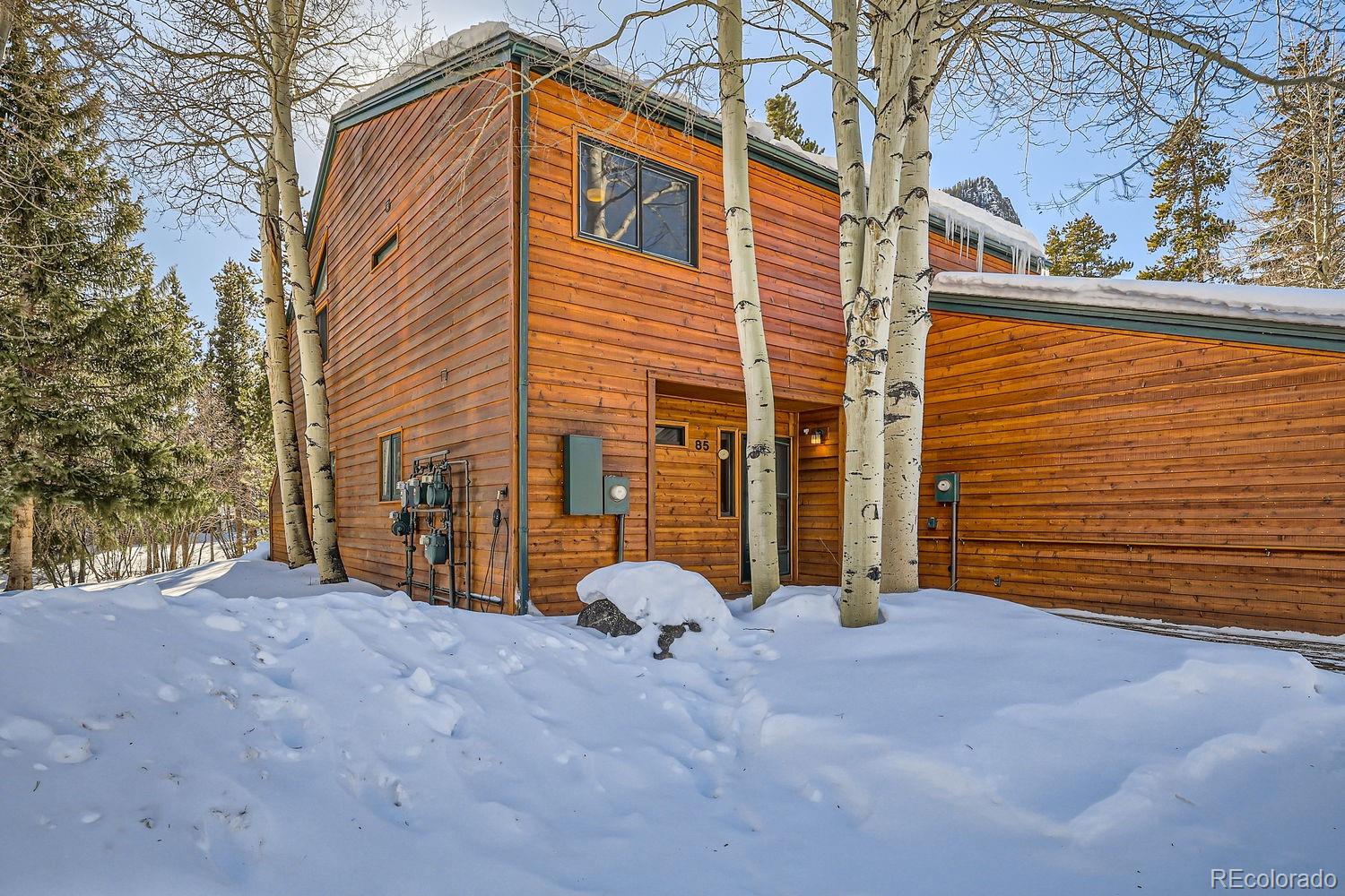 MLS Image #1 for 85  madison avenue,frisco, Colorado