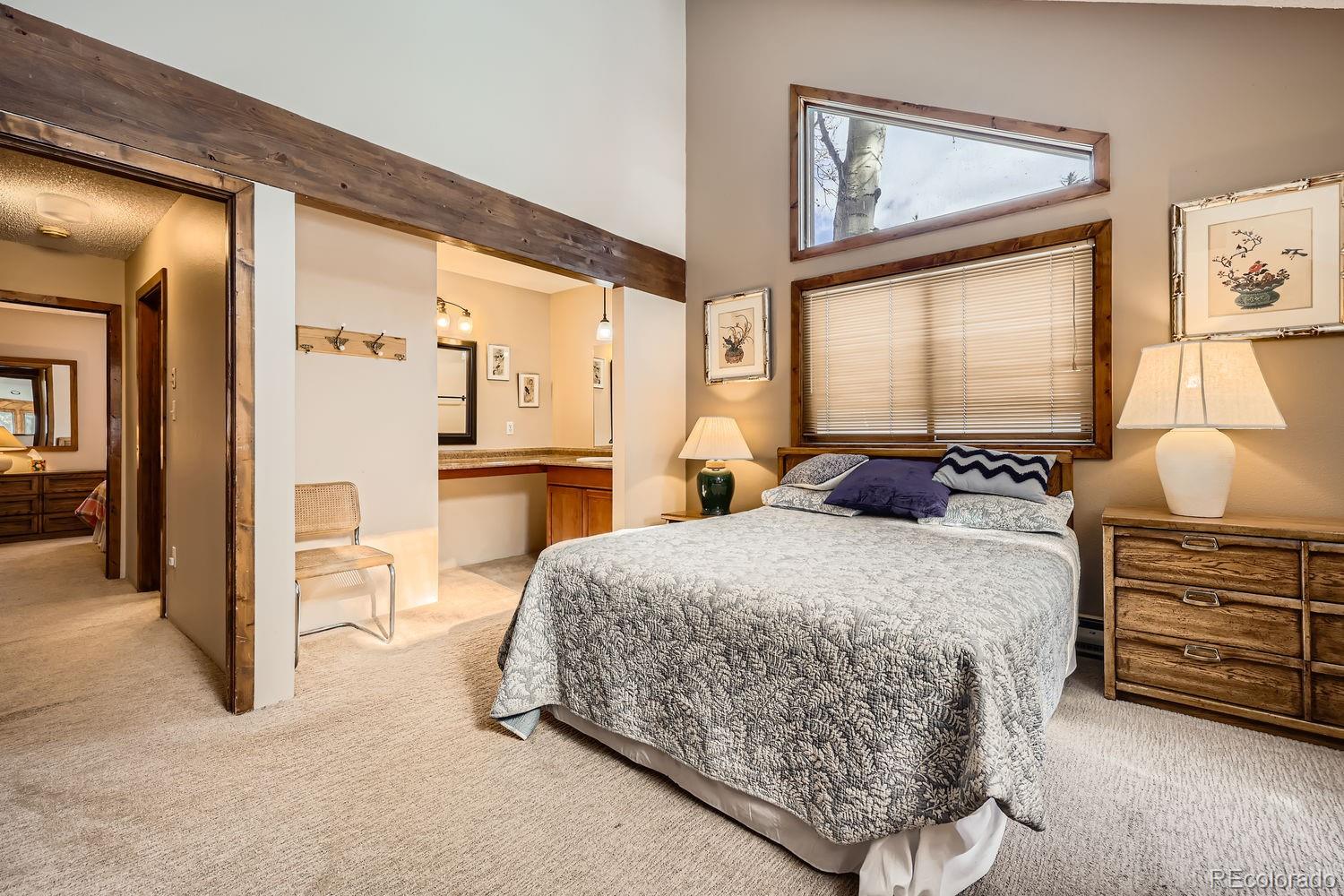 MLS Image #14 for 85  madison avenue,frisco, Colorado