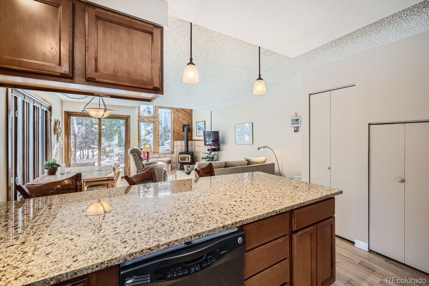 MLS Image #8 for 85  madison avenue,frisco, Colorado