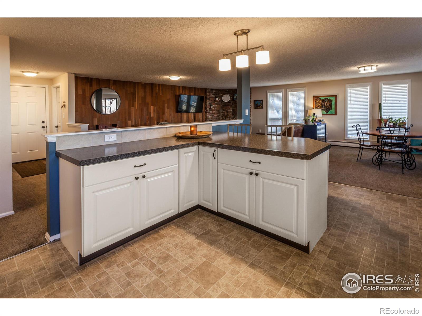 MLS Image #21 for 217  courtney drive,loveland, Colorado