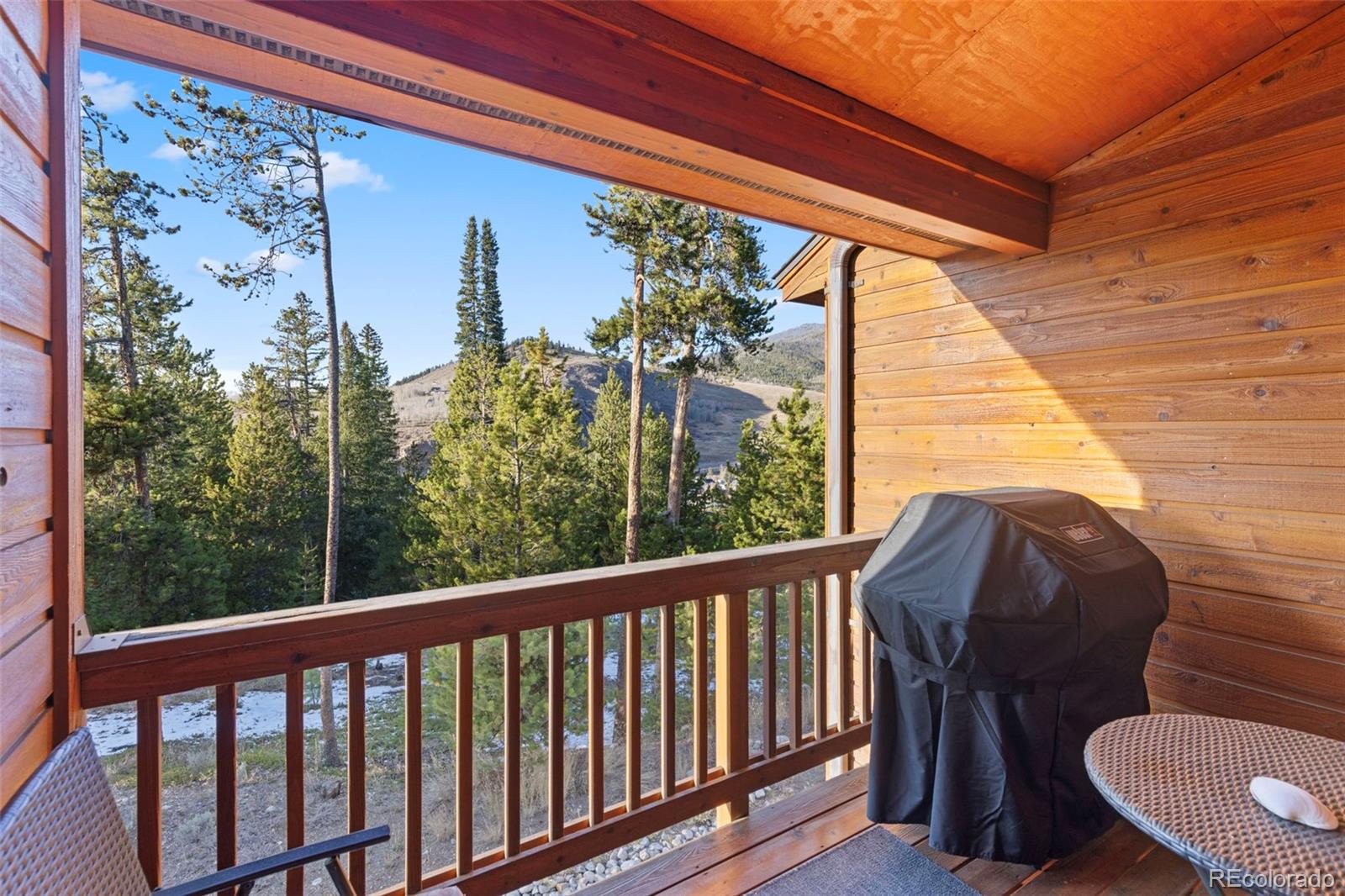 MLS Image #4 for 85  lookout ridge drive,dillon, Colorado