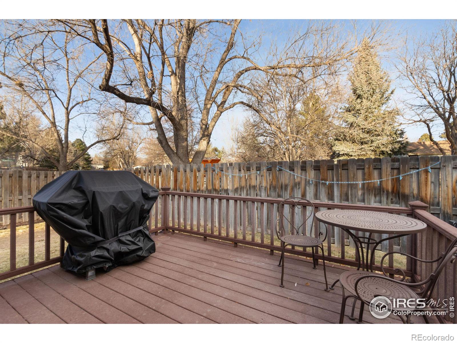 MLS Image #6 for 2103  creekwood court,fort collins, Colorado