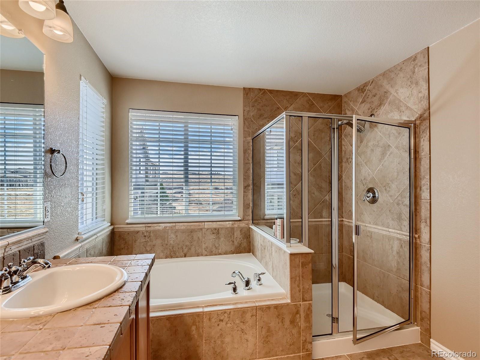 MLS Image #11 for 10916  towerbridge road,highlands ranch, Colorado