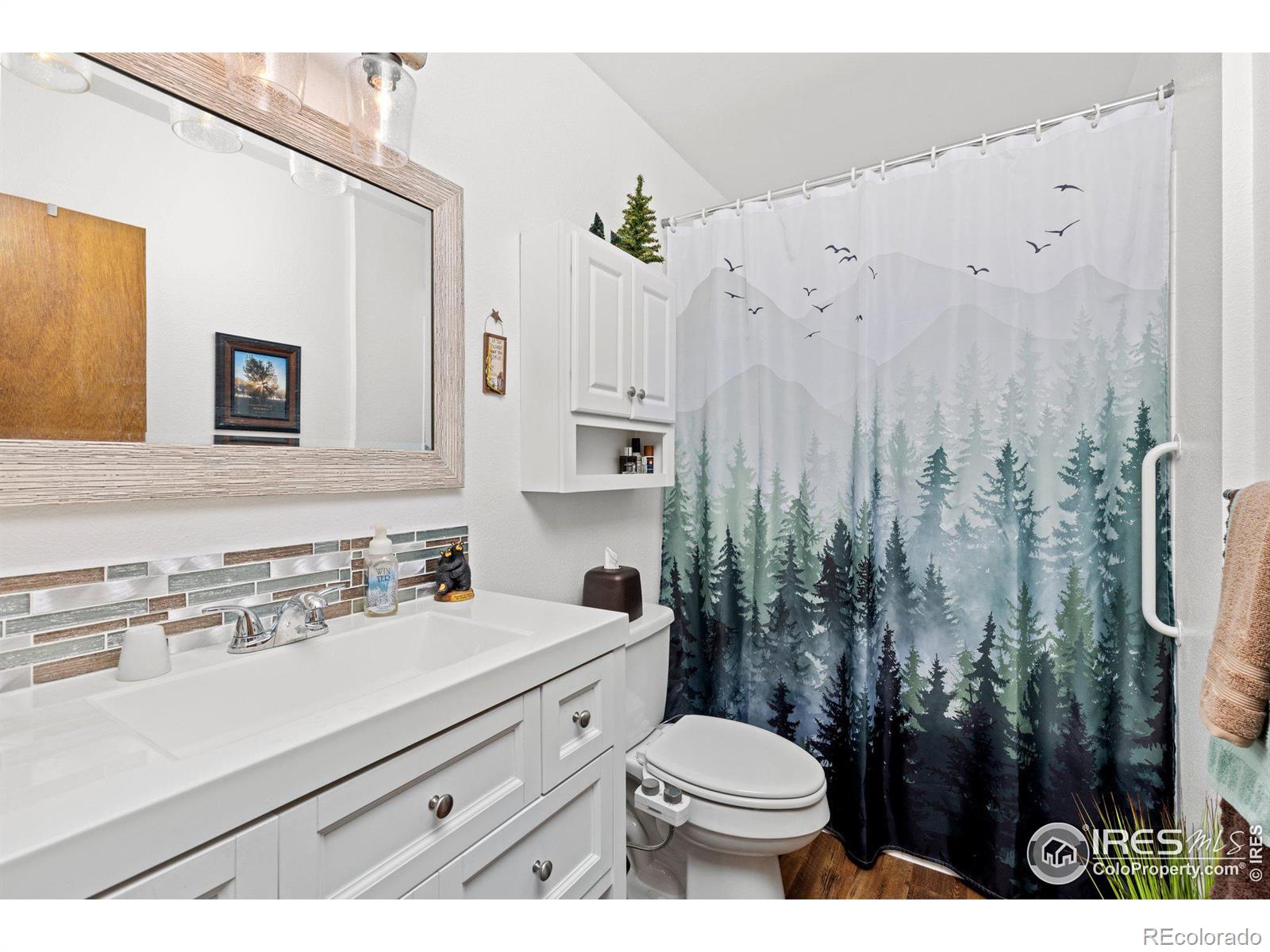 MLS Image #18 for 1315  cummings avenue,loveland, Colorado