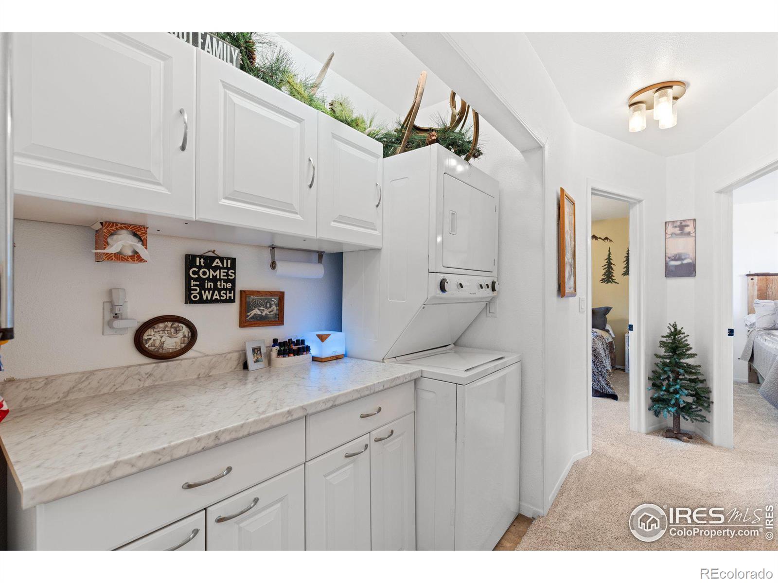 MLS Image #19 for 1315  cummings avenue,loveland, Colorado