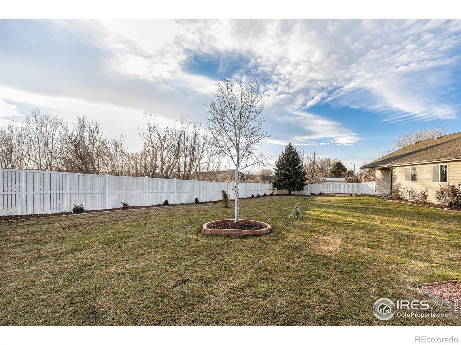 MLS Image #33 for 613  hemlock drive,windsor, Colorado