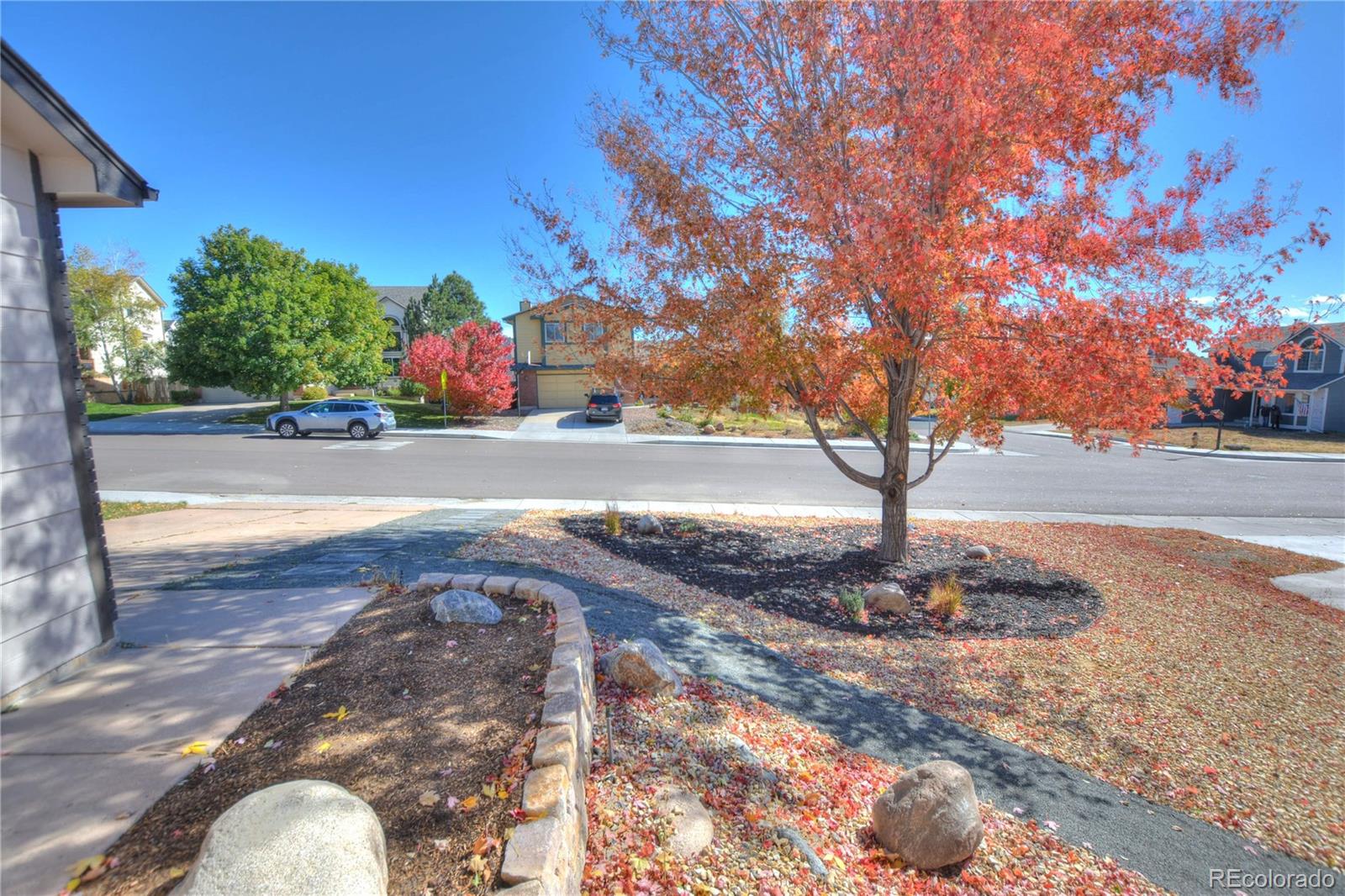 MLS Image #5 for 4560  squirreltail drive,colorado springs, Colorado