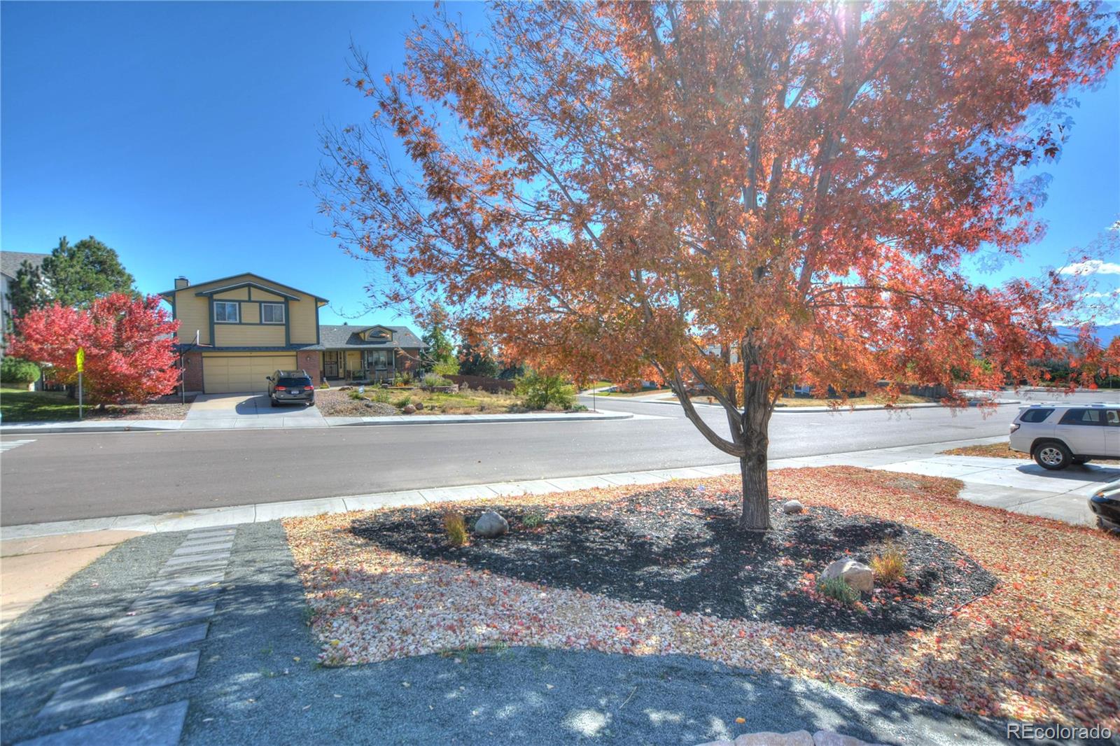 MLS Image #6 for 4560  squirreltail drive,colorado springs, Colorado