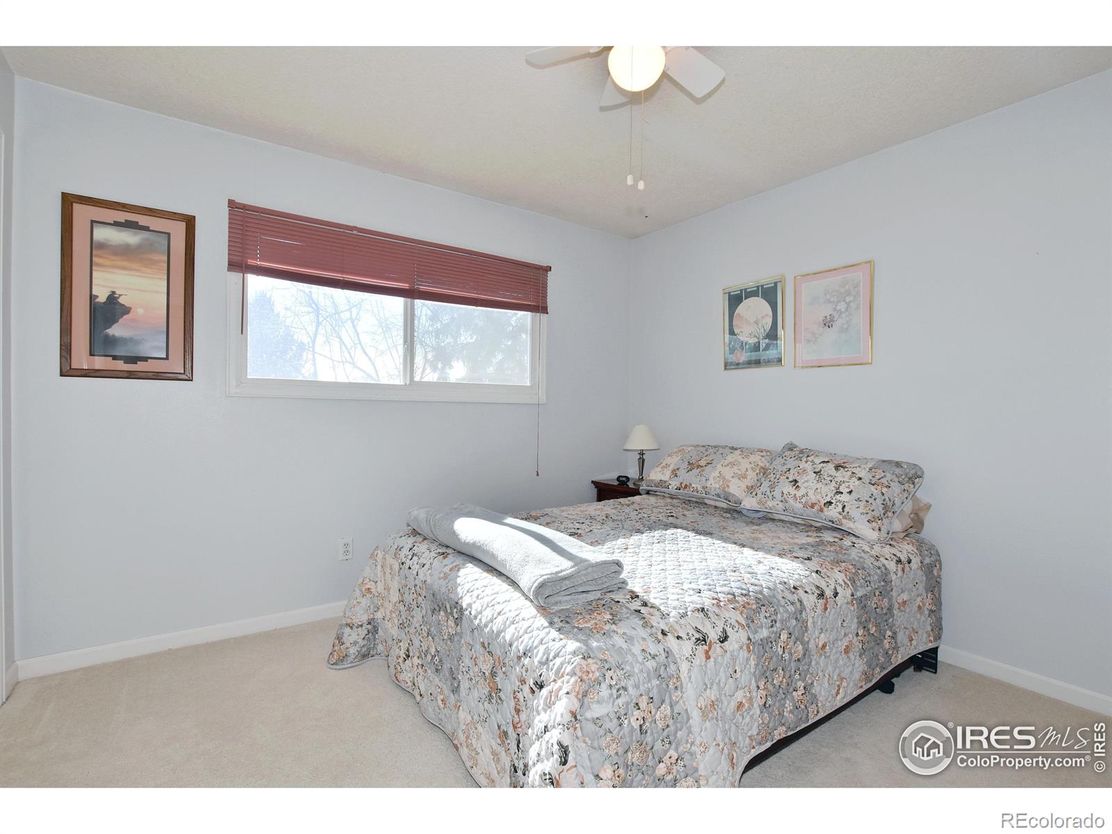 MLS Image #20 for 725  locust street,windsor, Colorado