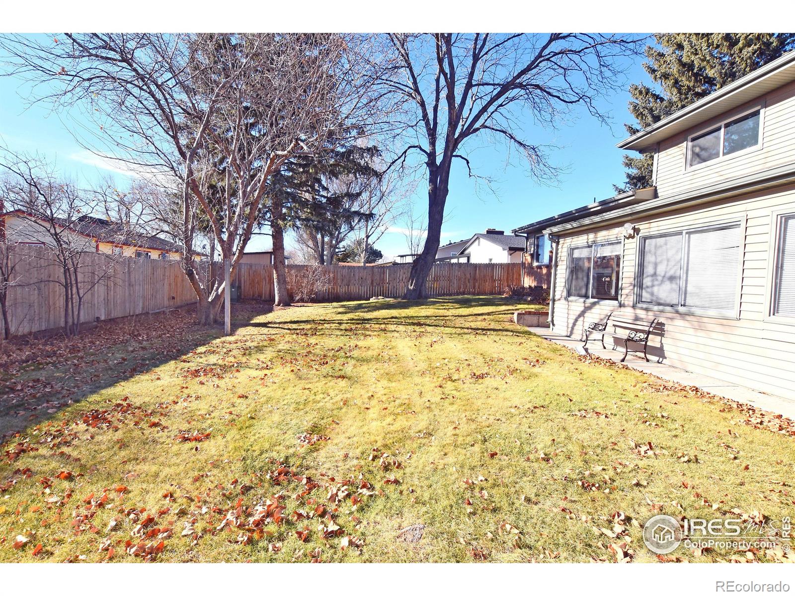 MLS Image #29 for 725  locust street,windsor, Colorado