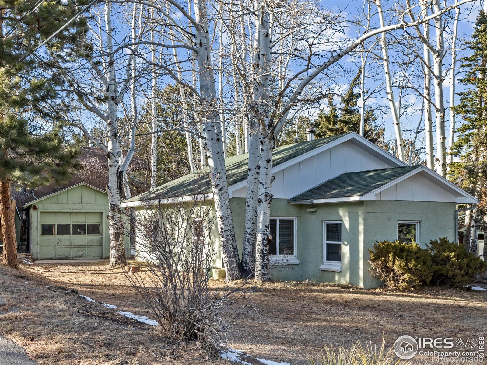 MLS Image #0 for 609  birch avenue,estes park, Colorado