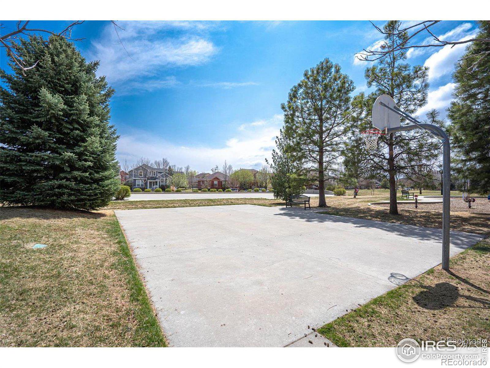 MLS Image #30 for 2751  autumn harvest way,fort collins, Colorado