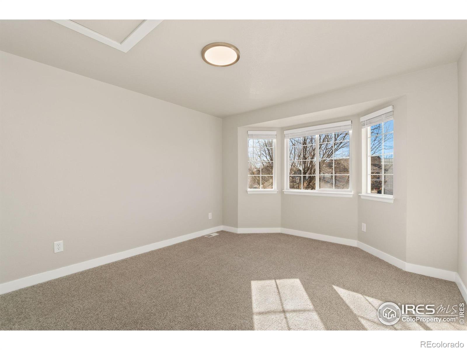 MLS Image #20 for 1624  cedarwood drive,longmont, Colorado