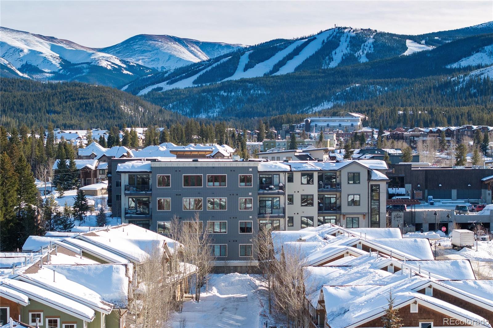 MLS Image #3 for 400  baker drive,winter park, Colorado