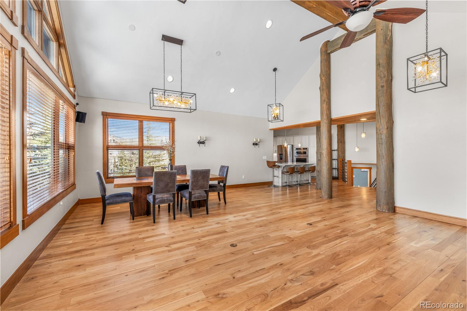 MLS Image #14 for 19  south road,breckenridge, Colorado