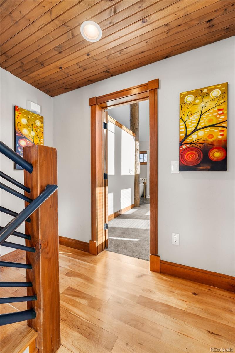 MLS Image #20 for 19  south road,breckenridge, Colorado