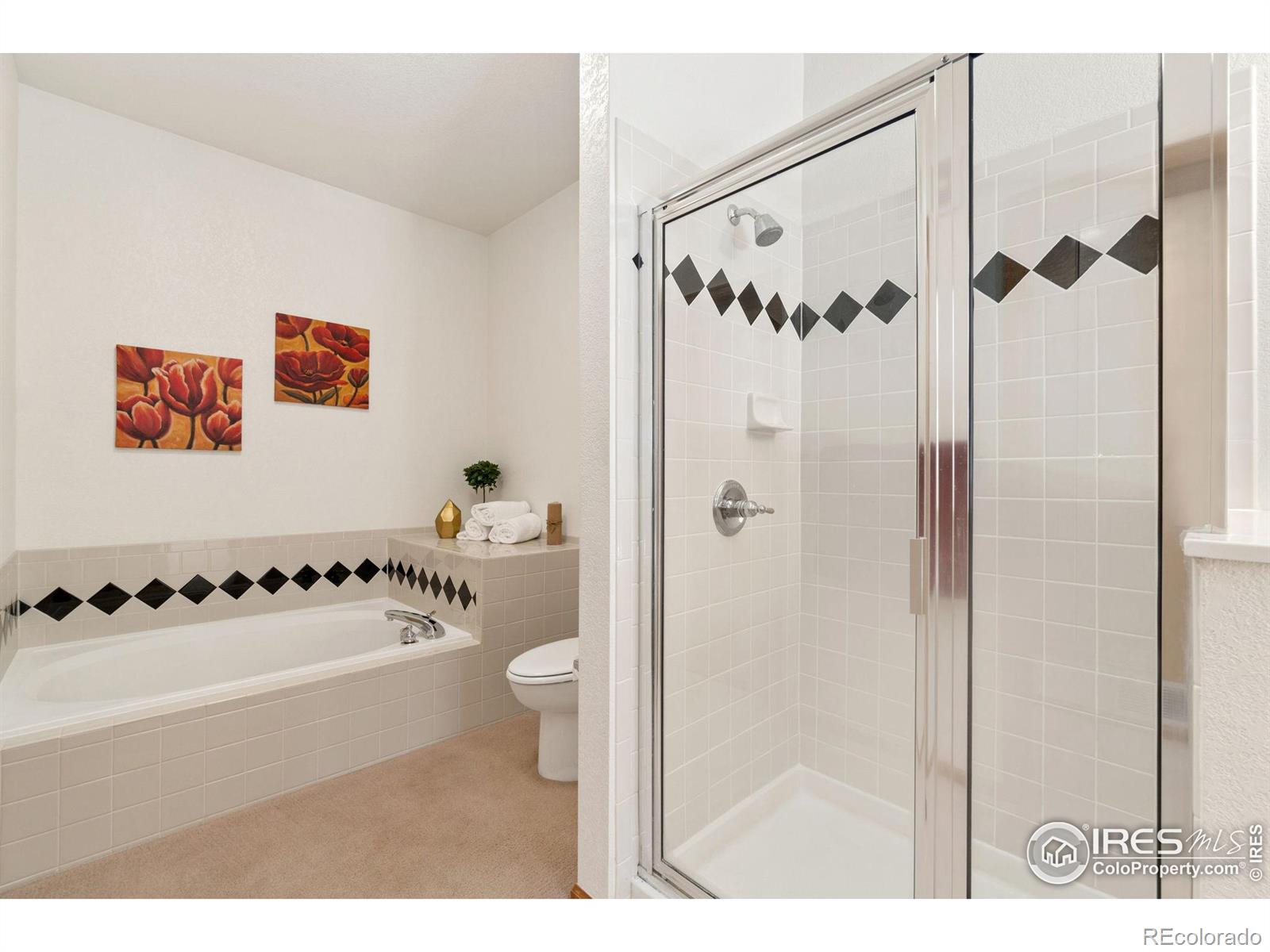 MLS Image #11 for 1703  whitehall drive,longmont, Colorado