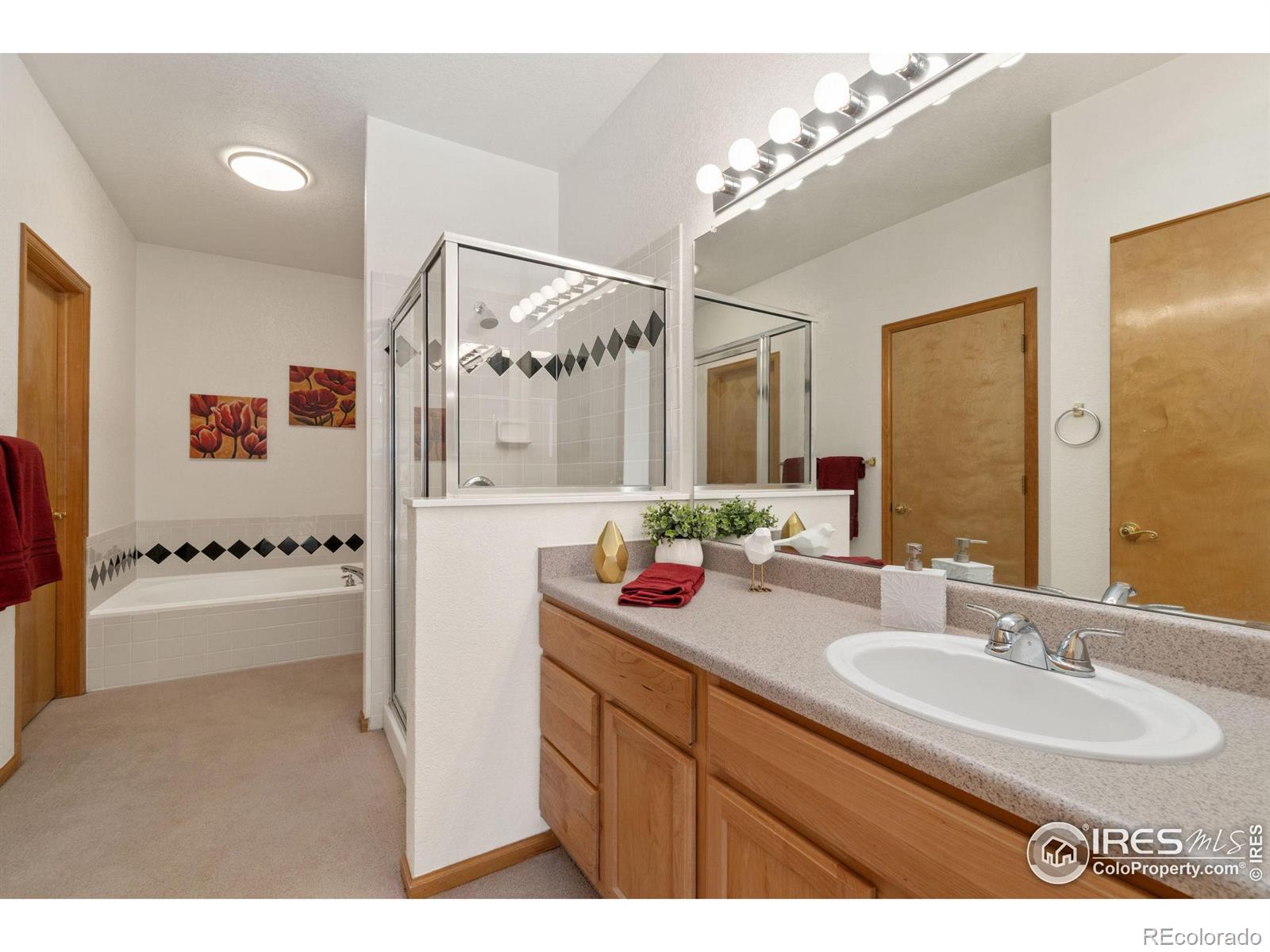 MLS Image #12 for 1703  whitehall drive,longmont, Colorado