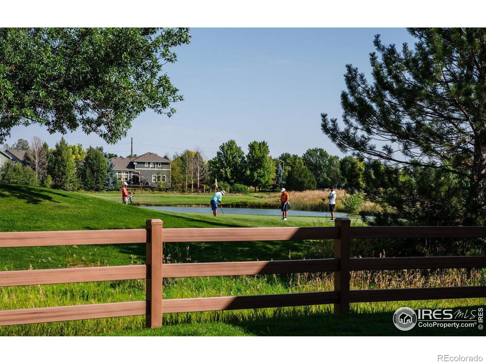 MLS Image #19 for 1703  whitehall drive,longmont, Colorado