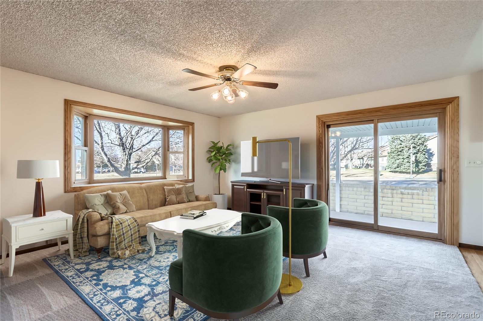 MLS Image #4 for 217 s 25th avenue,brighton, Colorado