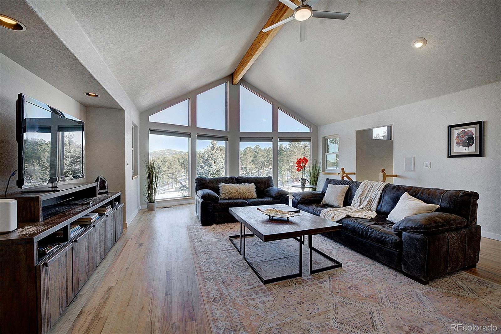 MLS Image #19 for 5371  hazel road,evergreen, Colorado