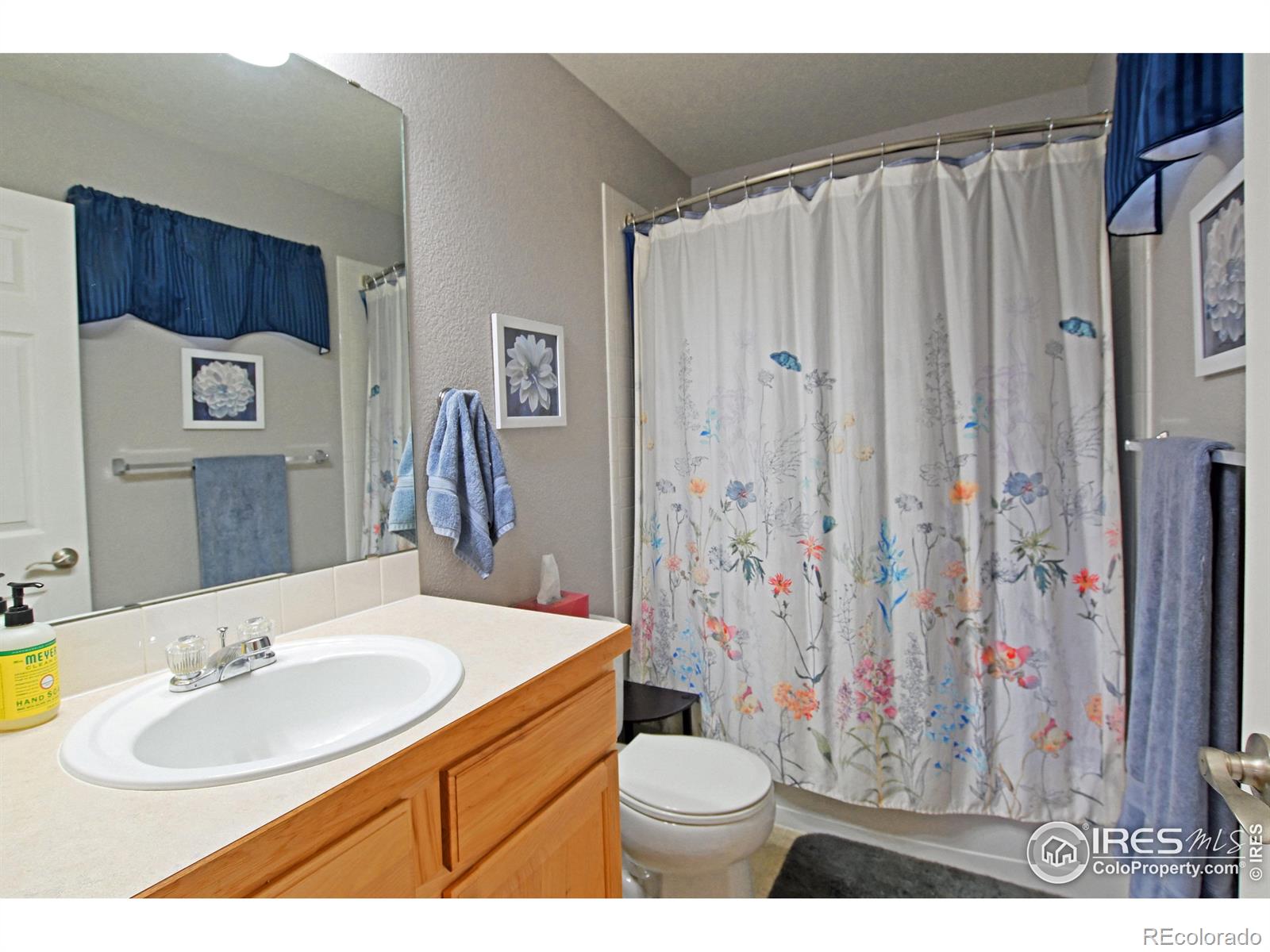 MLS Image #16 for 524  kenai court,windsor, Colorado