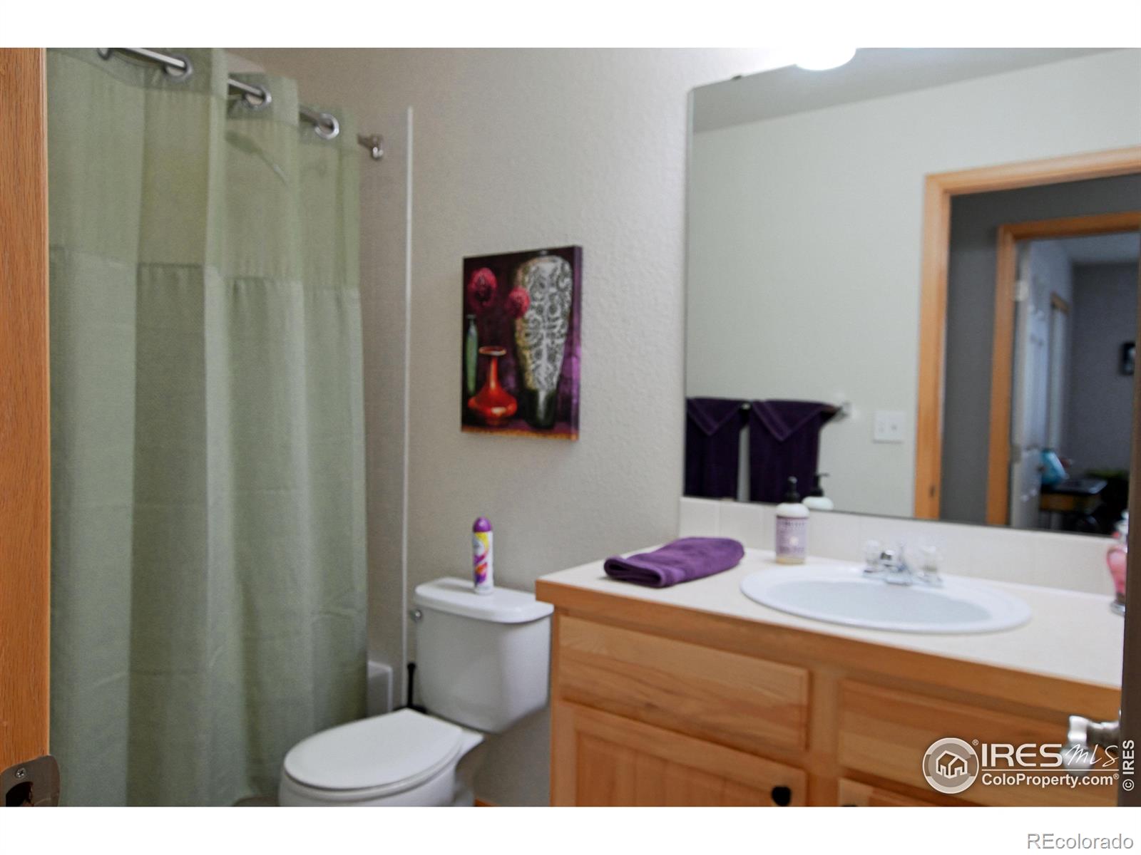 MLS Image #20 for 524  kenai court,windsor, Colorado