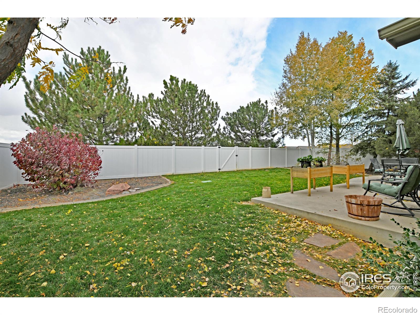 MLS Image #39 for 524  kenai court,windsor, Colorado