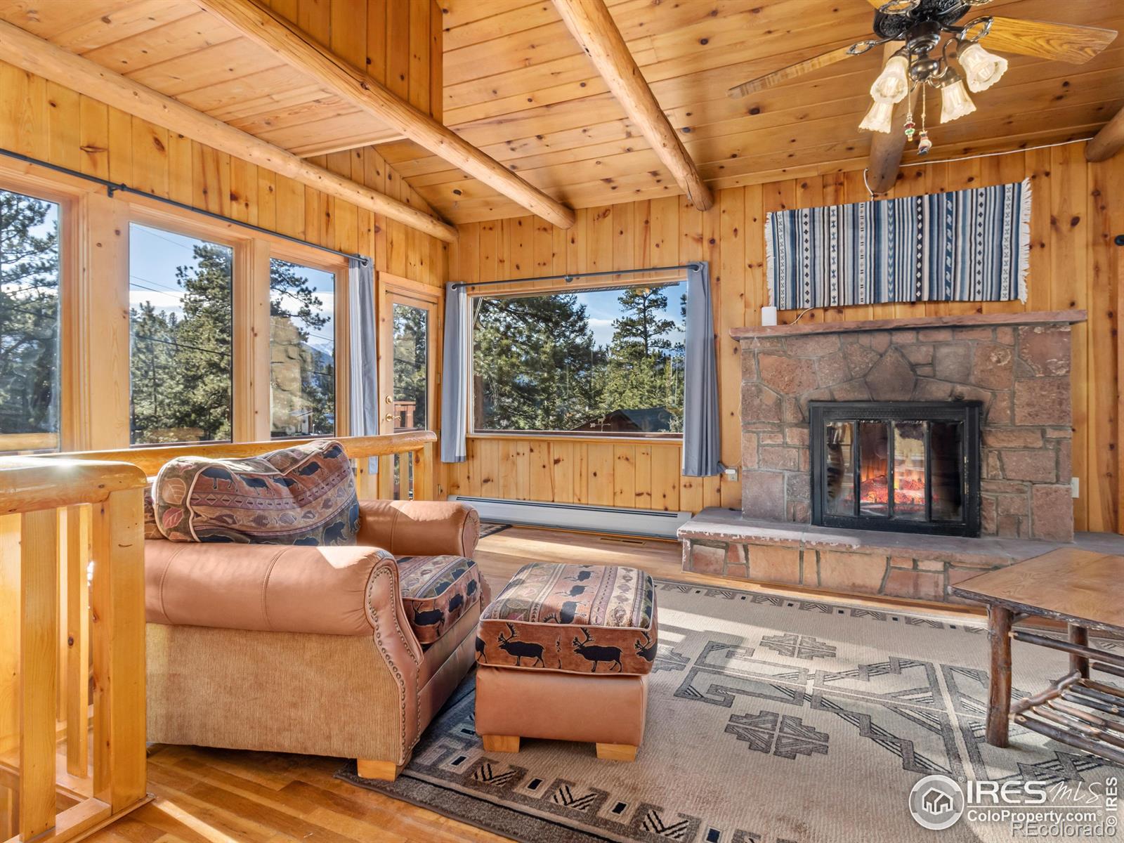 MLS Image #5 for 245  cyteworth road,estes park, Colorado