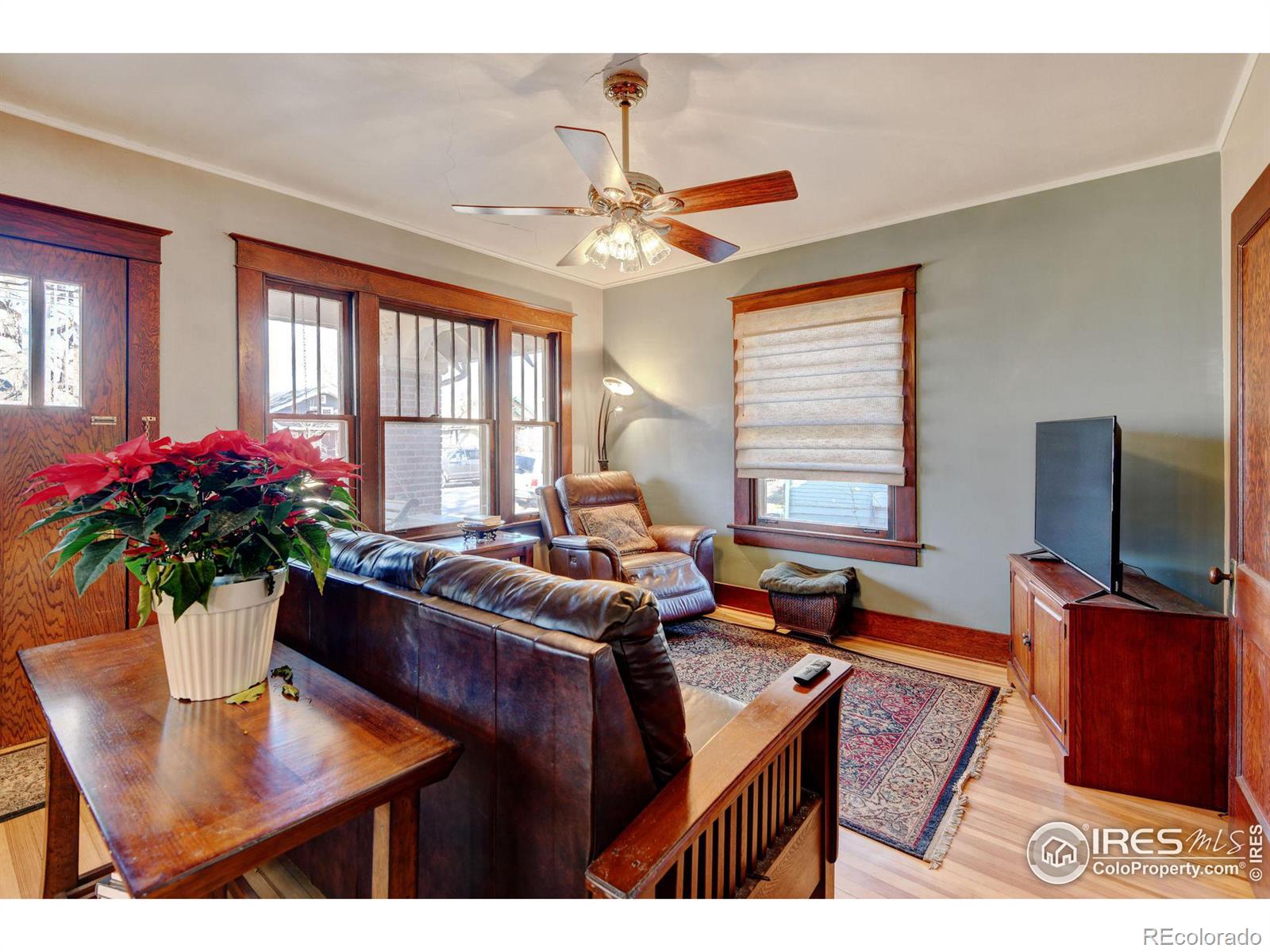 MLS Image #11 for 248 s park avenue,fort lupton, Colorado