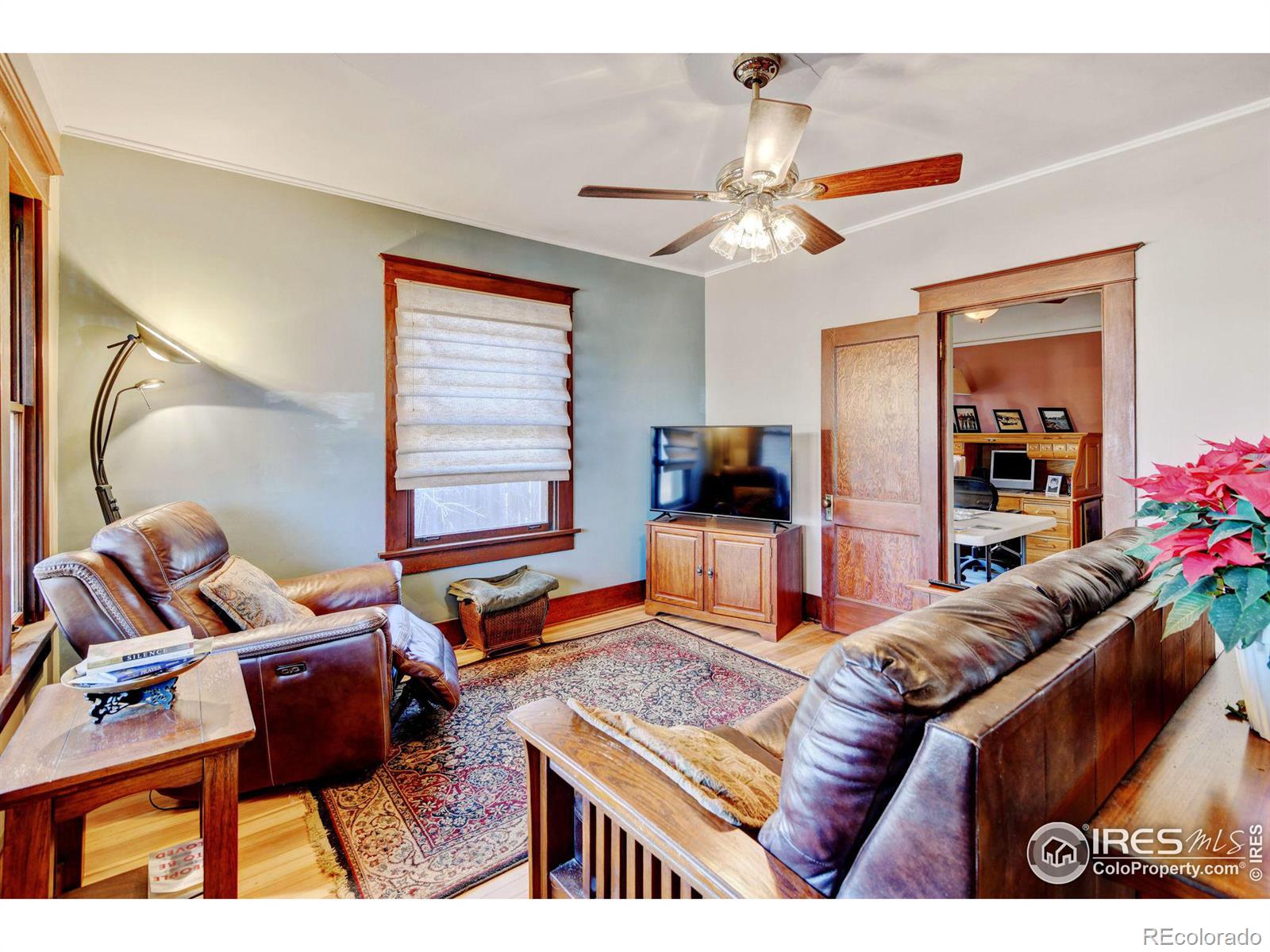 MLS Image #4 for 248 s park avenue,fort lupton, Colorado