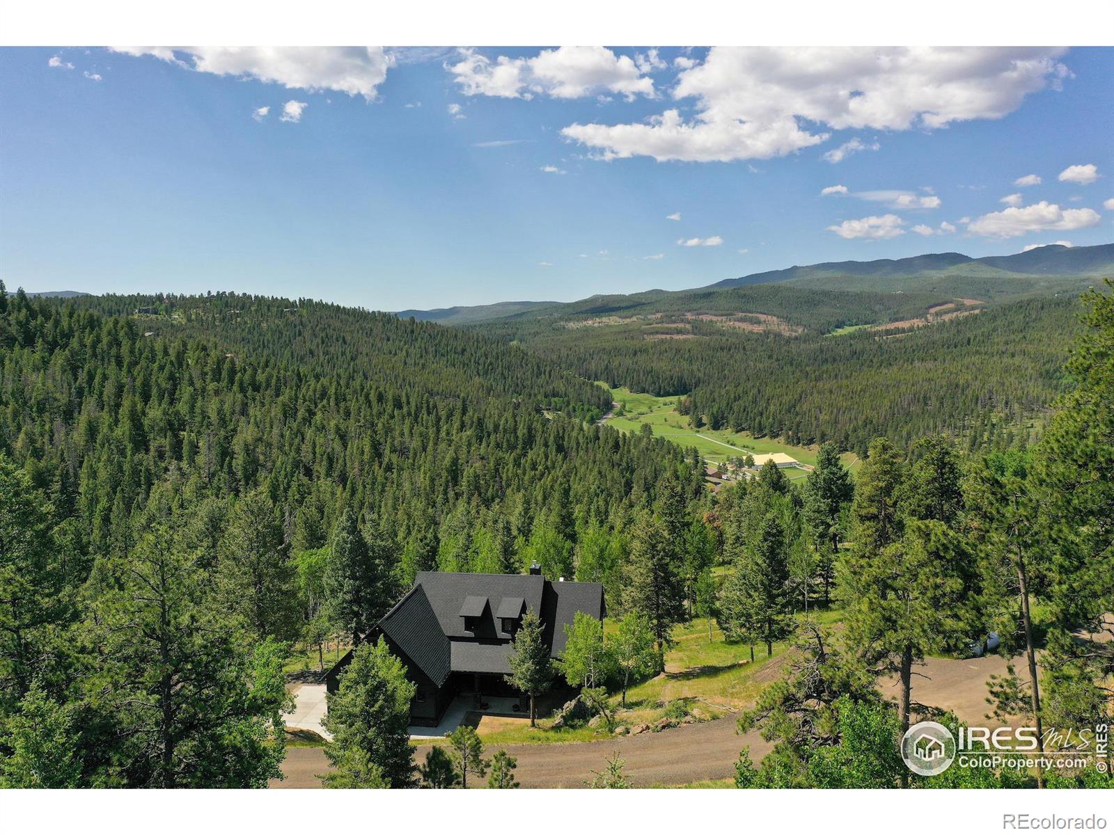 MLS Image #2 for 7142  lynx lair road,evergreen, Colorado