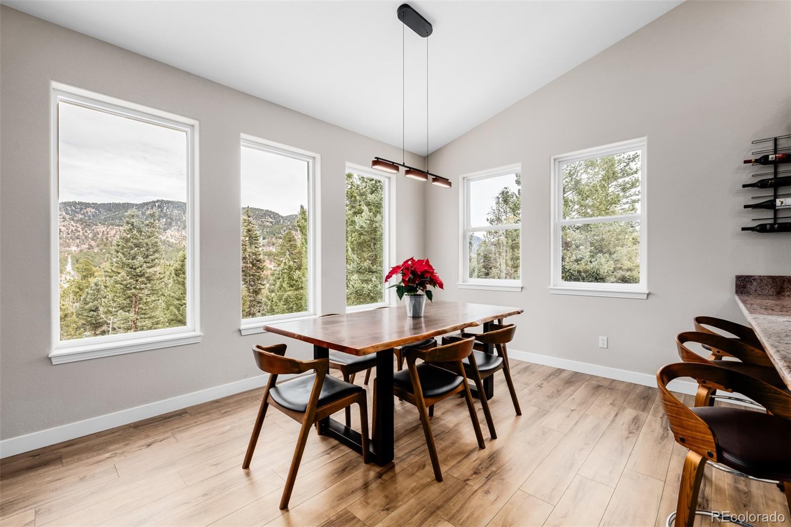 MLS Image #14 for 556  crystola court,woodland park, Colorado