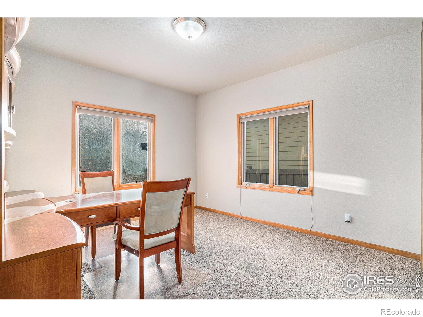 MLS Image #11 for 3321  muskrat creek drive,fort collins, Colorado