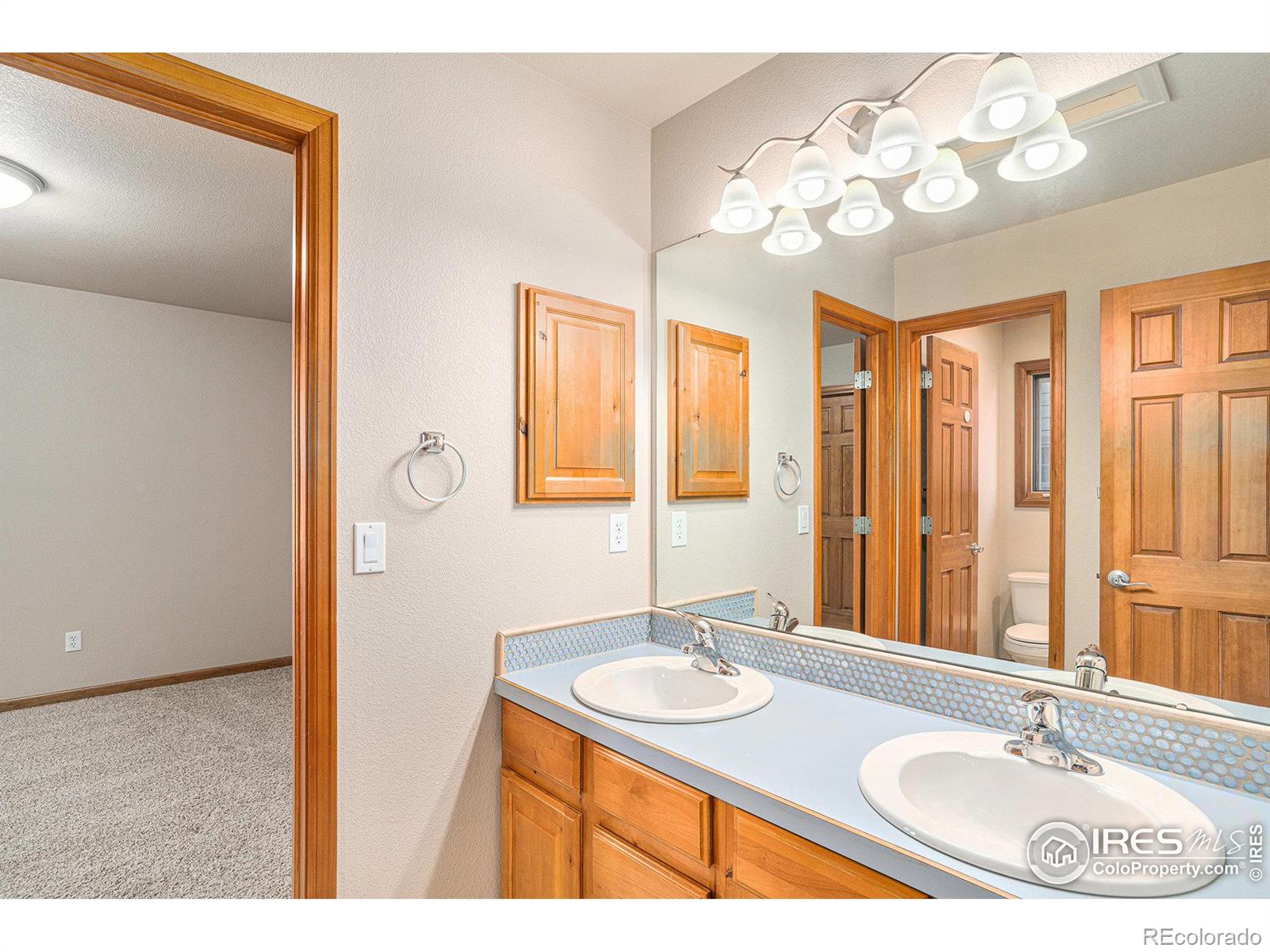 MLS Image #22 for 3321  muskrat creek drive,fort collins, Colorado