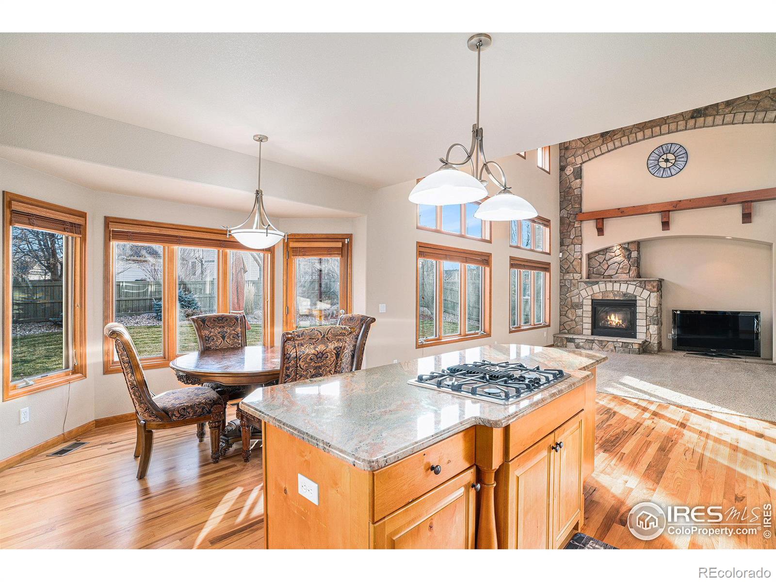 MLS Image #7 for 3321  muskrat creek drive,fort collins, Colorado